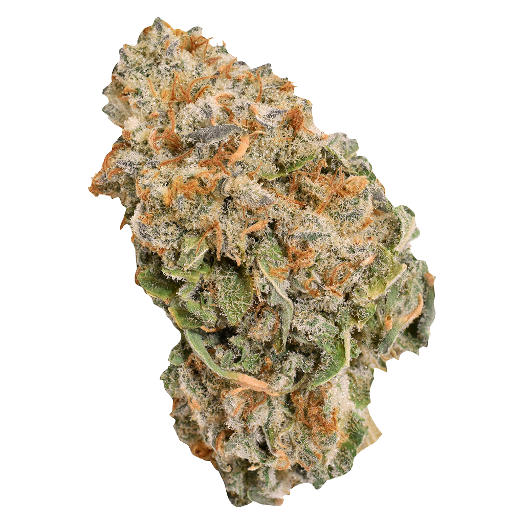 Indica